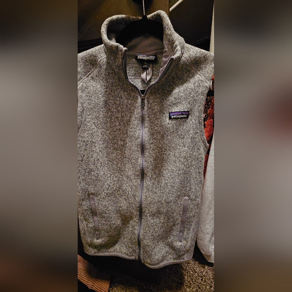 Patagonia Gray Full-Zip Fleece